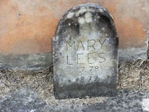 Mary Stevens nee Lees Authors Collection